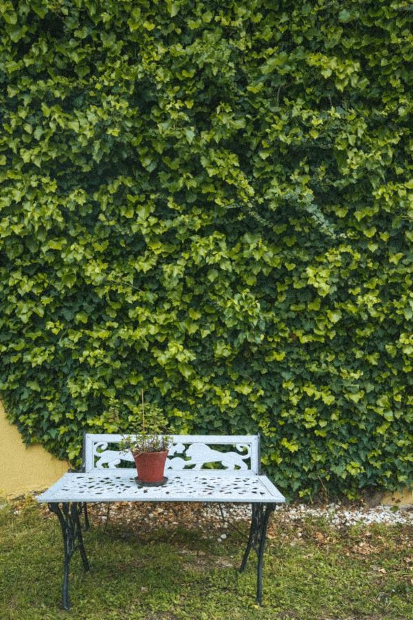 Abelia Boutique Rooms Tsilivi (Zakynthos) Exterior foto