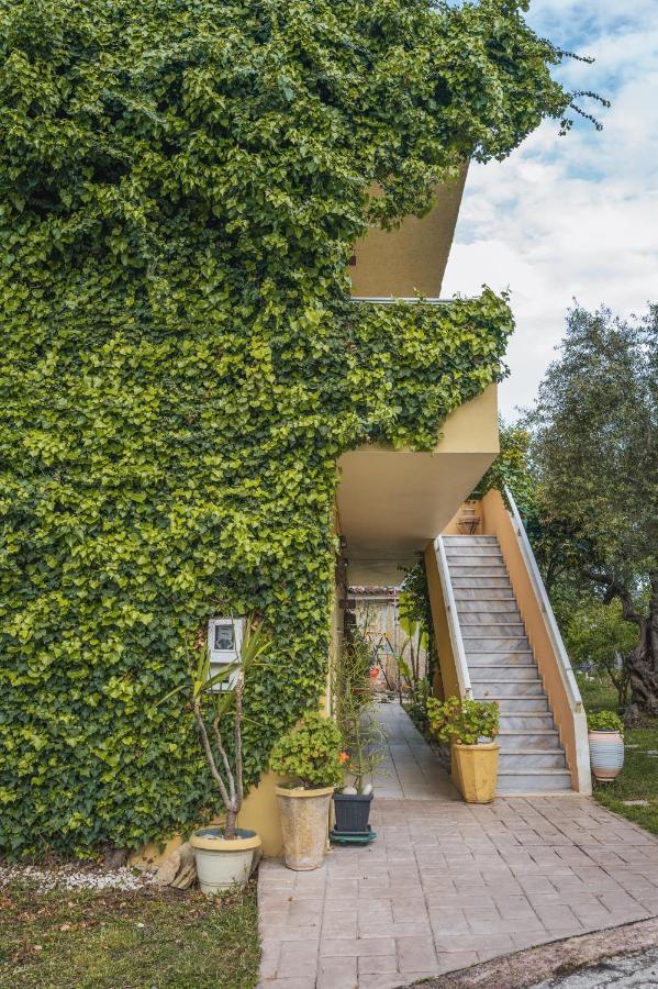 Abelia Boutique Rooms Tsilivi (Zakynthos) Exterior foto